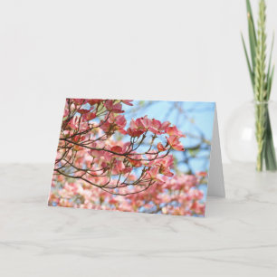 Cartões de Saudação Floral Dogwood Blue Sky