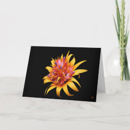 Cartões de Saudação Floral Exóticos
