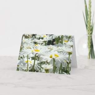 Cartões de Saudação Flores de Margarida Branca Per