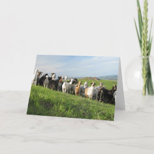 Cartões de saudação NGIP