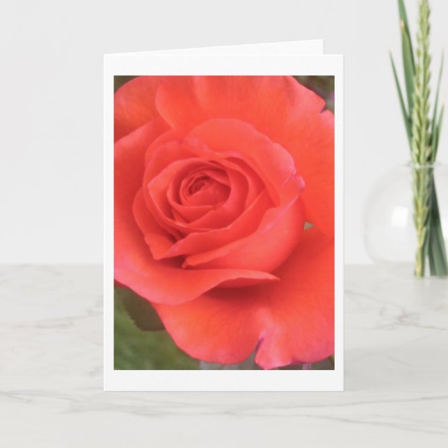 Cartões de saudação ou de nota do Rosa de pêssego  (Frente)