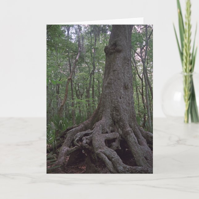 Cartões de saudação personalizados de artefato ind (Frente)