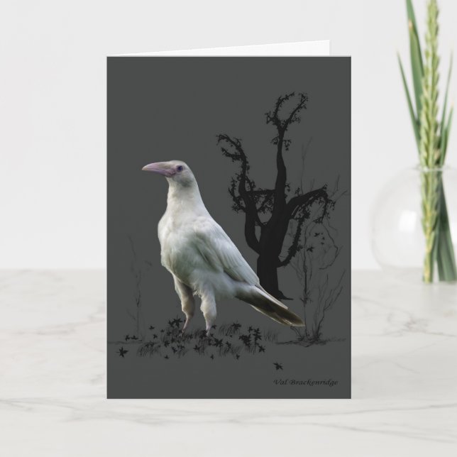 Cartões de Saudação White Raven (Frente)