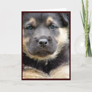 Cartões de saudação Wise Pup