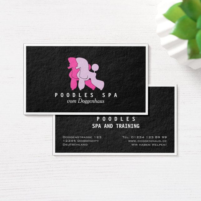 Cartões de Spa para Poodles (Mesa)