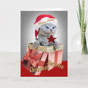 Cartões de surpresa de Natal para Kitten