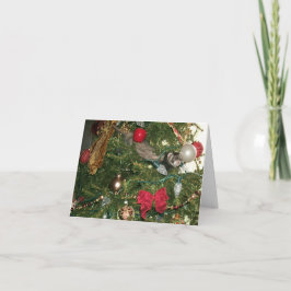 Cartões de uma surpresa do Natal