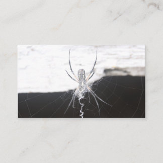 Cartões de Visita de Aranha