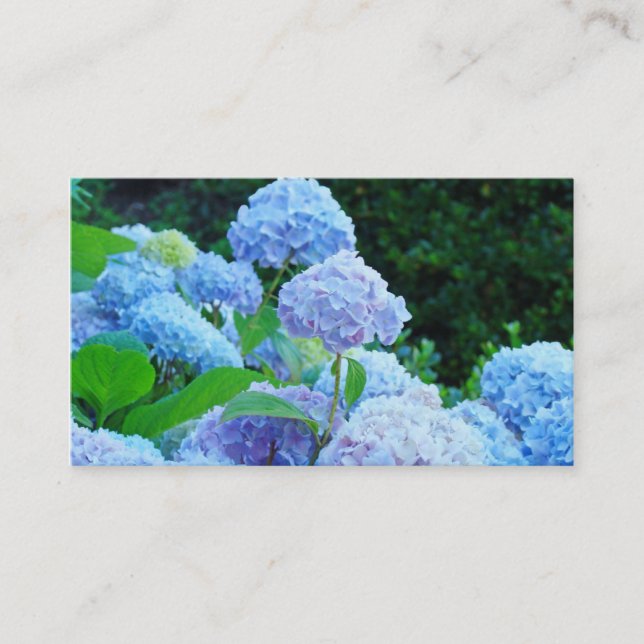 Cartões de Visita Flores de Hortênsia Azul Floral (Frente)