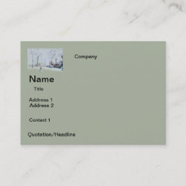 cartões de visita neve design