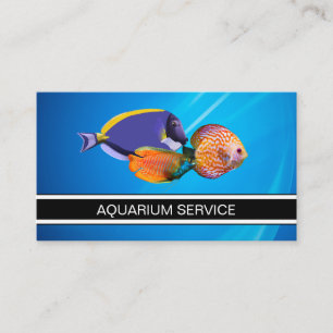 Cartões de Visita para Aquário Marinho de Peixes T