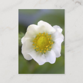 cartões de visitas bonito de flores de morango bra