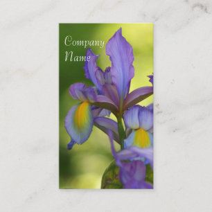 Cartões de visitas da flor da íris