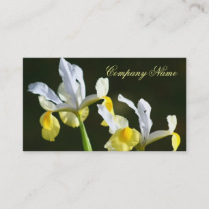 Cartões de visitas da íris