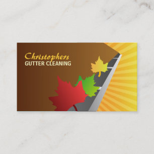 Cartões de visitas da limpeza da calha