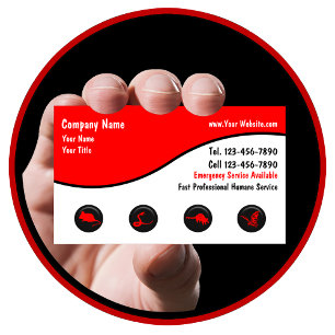 Cartões de visitas da remoção dos animais