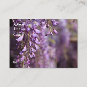 Cartões de visitas das glicínias