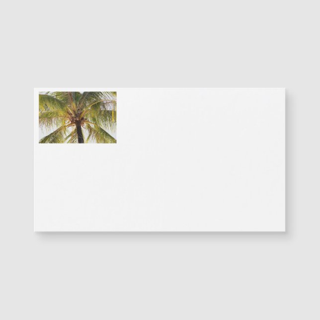Cartões de visitas de árvore palm (Frente)