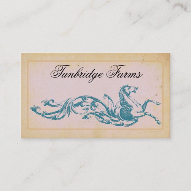 Cartões de visitas de embarque em Fazenda de caval (Frente)