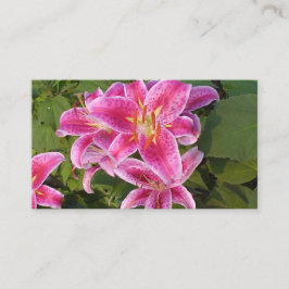 Cartões de visitas de Flor Rosa