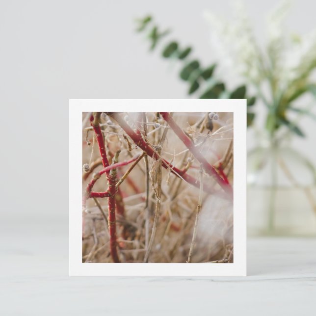 Cartões de visitas de jardinagem Rosas selvagens (Em pé/Frente)