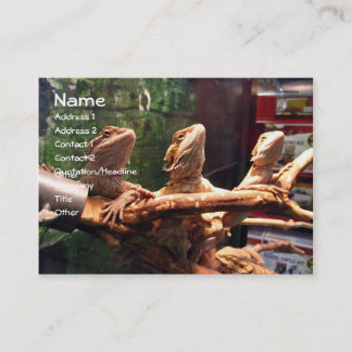 Cartões de visitas de Leezerds