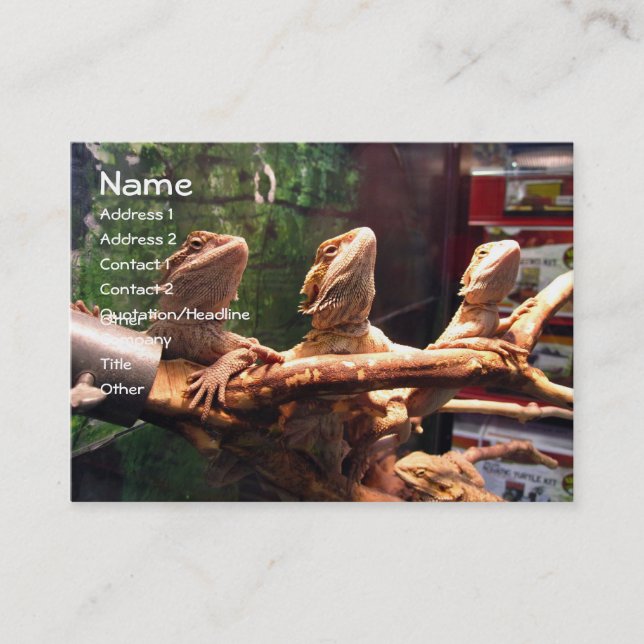 Cartões de visitas de Leezerds (Frente)