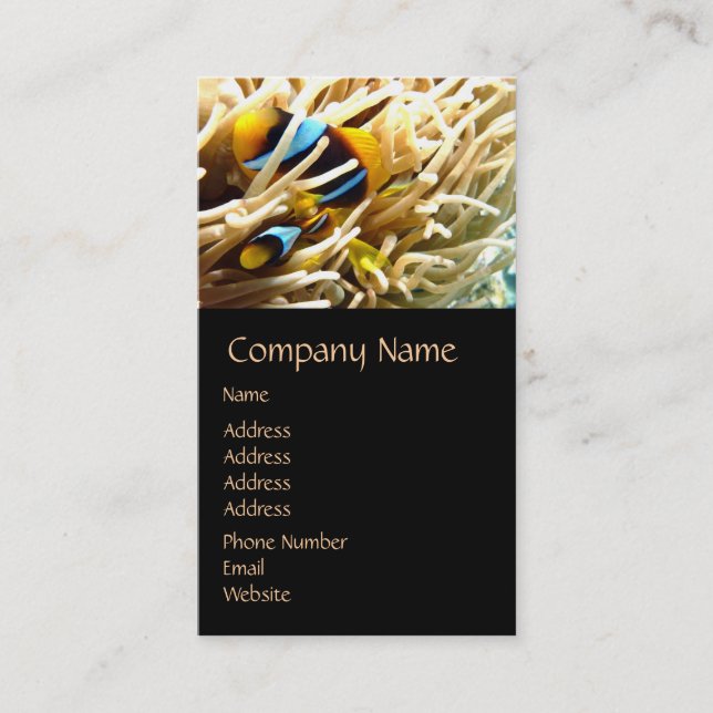 Cartões de visitas De Peixes De Palha (Frente)