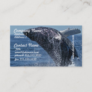 Cartões de visitas de salto da baleia de Humpback