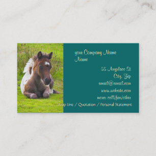 Cartões de visitas de um ano bonitos do potro