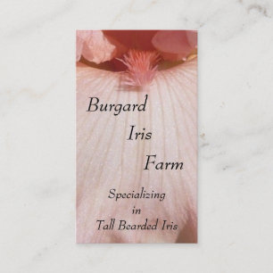 Cartões de visitas do berçário