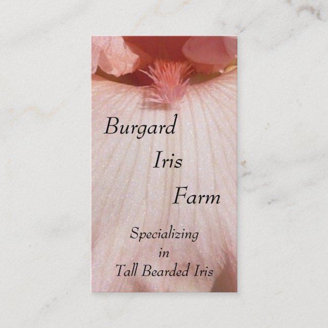 Cartões de visitas do berçário (Frente)