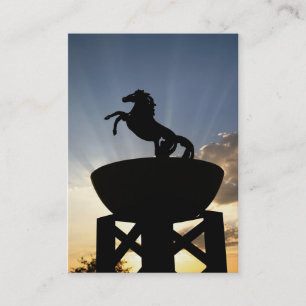 cartões de visitas do cavalo