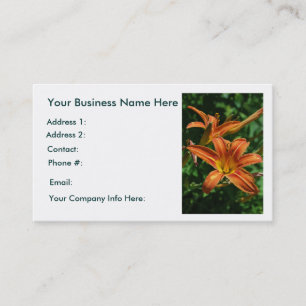 Cartões de visitas do hemerocallis