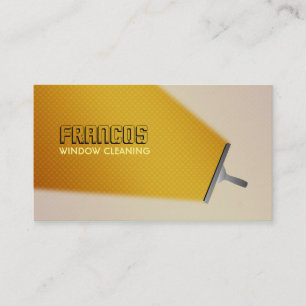 Cartões de visitas do líquido de limpeza de jane