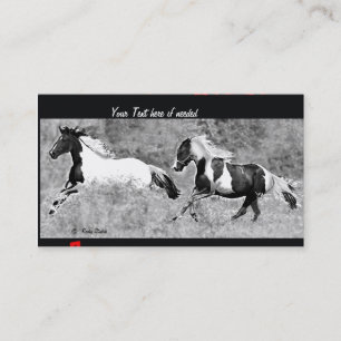 Cartões de visitas do Pinto