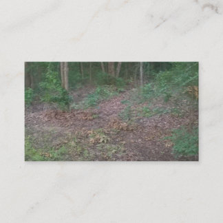 Cartões de visitas do verde da natureza das