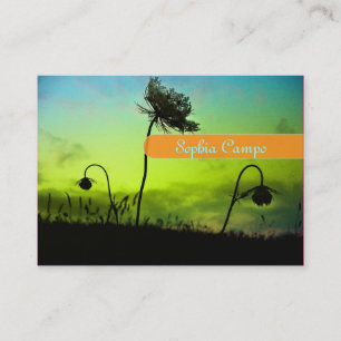 cartões de visitas Fotógrafos