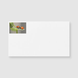 Cartões de visitas Lady Bugs