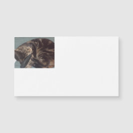 Cartões de visitas Magnéticos Dave Reproduzíveis (