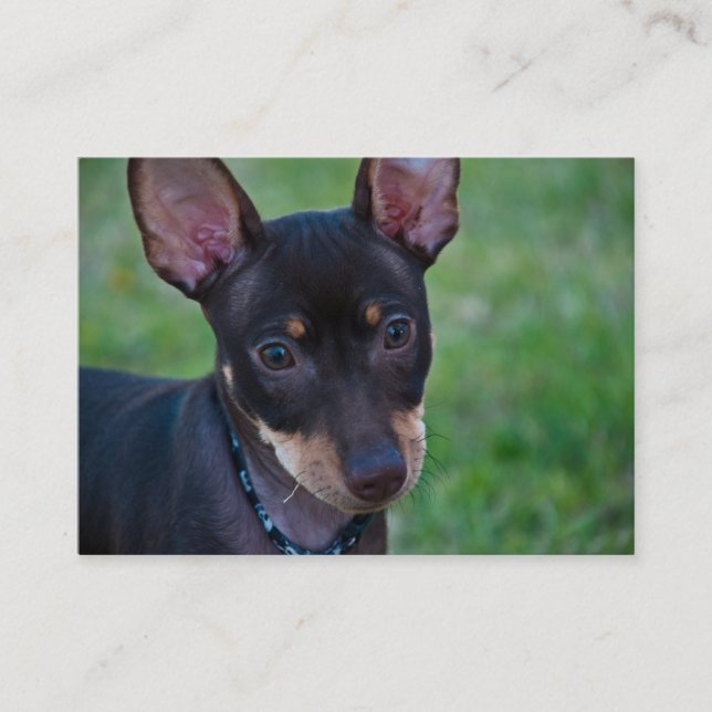 Cartões de visitas mínimos do Pin (Frente)