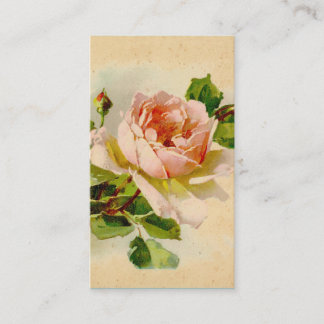 Cartões de visitas Rosa Rosa Vitorianos