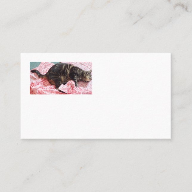 Cartões de visitas Tailor Dave American (Frente)