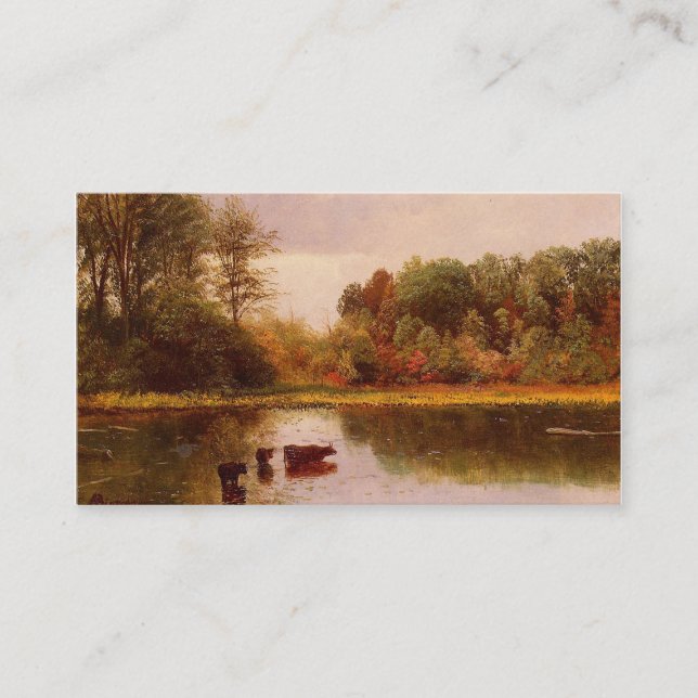 Cartões de visitas, vacas em água (Frente)