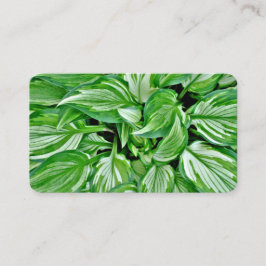 Cartões de visitas verdes