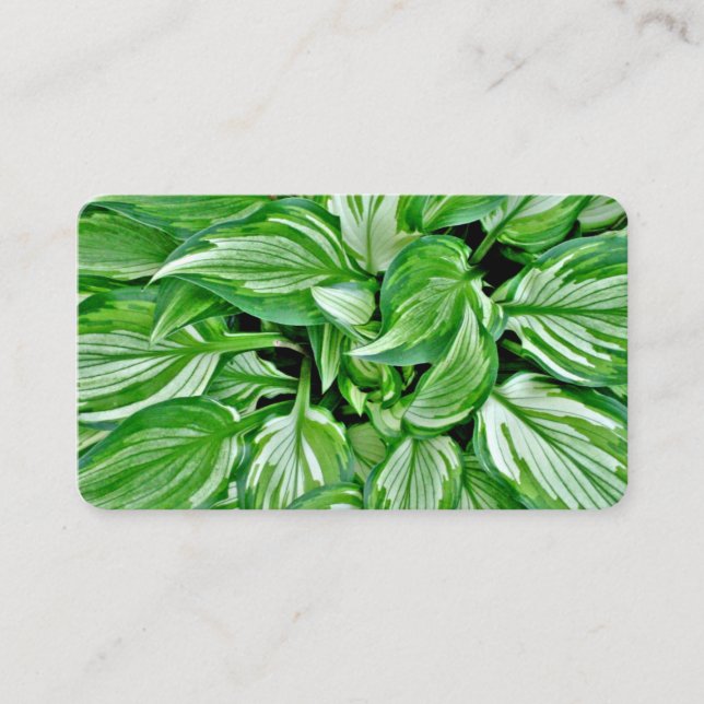 Cartões de visitas verdes (Frente)