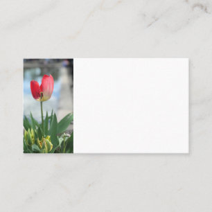 Cartões de visitas vermelhos da tulipa