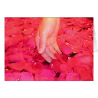 Cartões delicados das pétalas