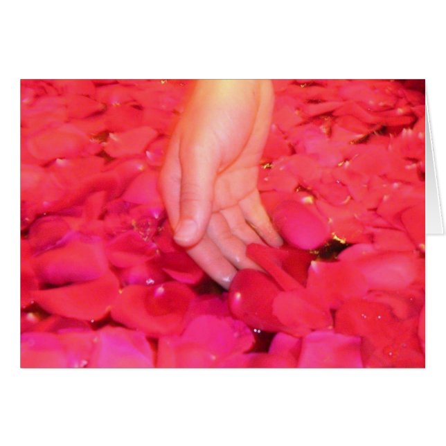 Cartões delicados das pétalas (Frente Horizontal)