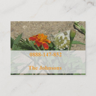 cartões do contato da família